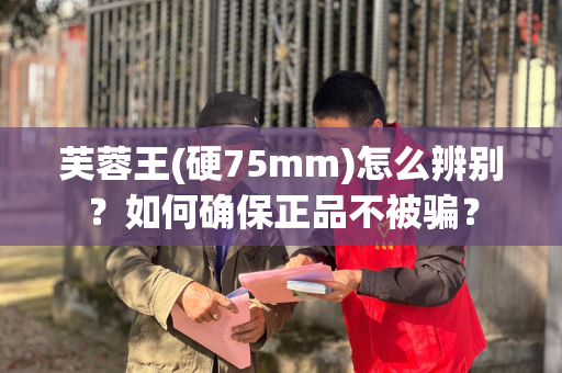 芙蓉王(硬75mm)怎么辨别？如何确保正品不被骗？